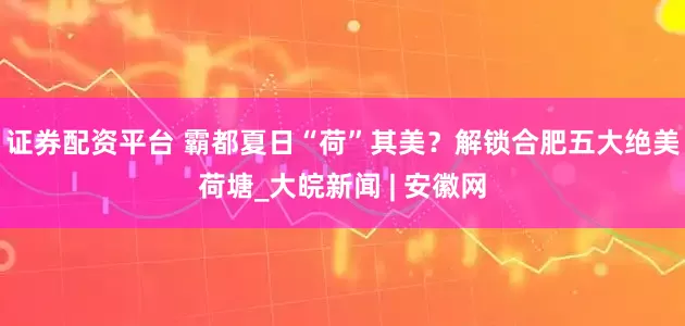 证券配资平台 霸都夏日“荷”其美？解锁合肥五大绝美荷塘_大皖新闻 | 安徽网
