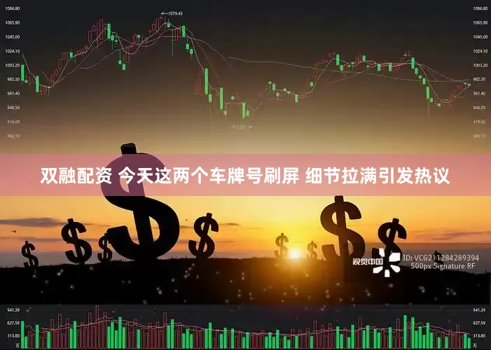 双融配资 今天这两个车牌号刷屏 细节拉满引发热议